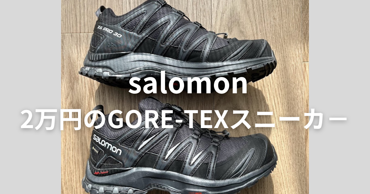 チープ・シックのすすめ | 【2万円で買えるgore-texスニーカー ...